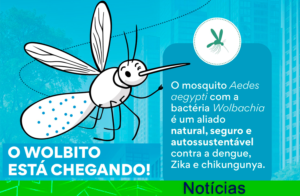 dengue_01.jpeg
